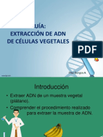 Extraccion Adn