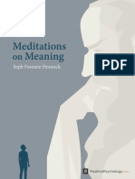 Meditations on Meaning