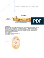 Tugas Biologi Sma