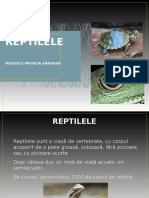 REPTILELE Odp