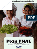 Manual Plan PNAE.pdf