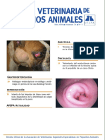 clinica peqñs animales.pdf
