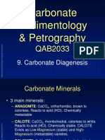 QAB2033 Topic 9 Diagenesis