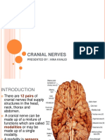 Cranial Nerves: Presented By: Hina Khalid