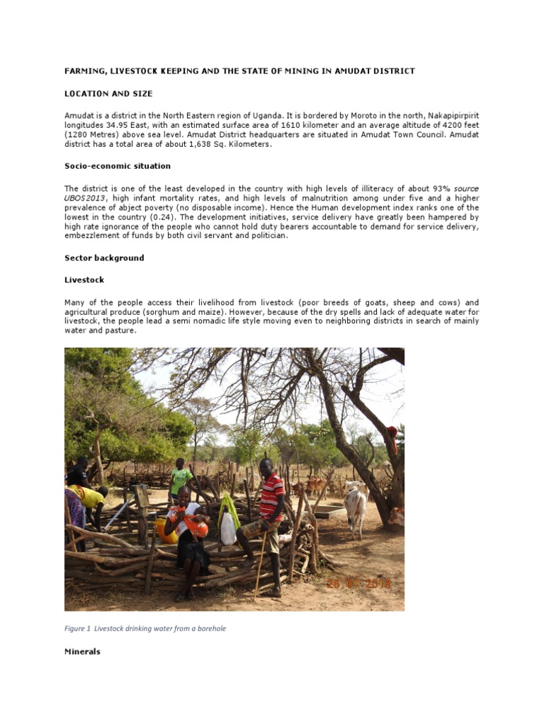 Amudat District PDF Livestock Agriculture