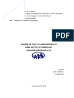 Informe de Las Prácticas Profesionles (Luis Oliva) Versión Definitiva