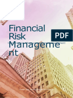 Financial Risk Management-Dikonversi