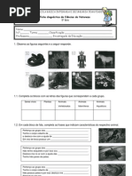 ficha diagnóstica 5º ano C.N.