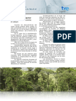 Como La Contaminación Pone en Peligro A Los Bosques Tropicales