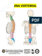 Ana Psicobiologia Columna