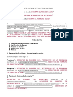 Modelo Acta Sección Acciones