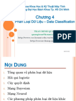 DM C4 Classification PDF