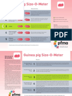 Pet Size o Meter Guinea Pig