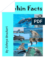 Dolphin Facts FKB Zehnya Bruckert