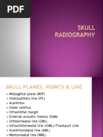 Skull