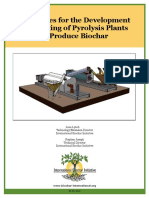 IBI_Pyrolysis_Plant_Guidelines.pdf