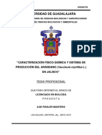 TESIS Caracterizacion físico quimica en el cultivo del arándano.pdf