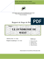 Syndrome de West - Rapport de Stage