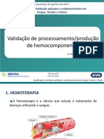 Validação de Processamento/produção de Hemocomponentes