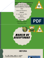 Gestaciones y rechazo de receptoras con diferentes tratamientos de sincronización