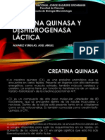 Creatina Quinasa