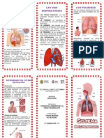 Trip Sis Respiratorio