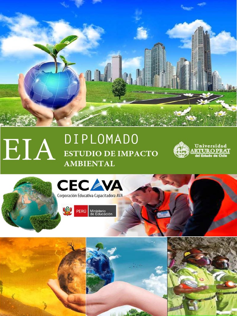 Estudio de Impacto Ambiental EIA PDF | PDF | Evaluación de impacto ...