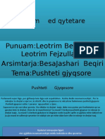 Punim Ed Qytetare