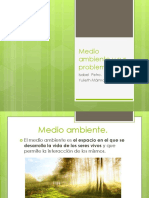 Medio Ambiente