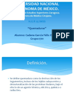 quemadurasfinal-130627222215-phpapp02.pdf