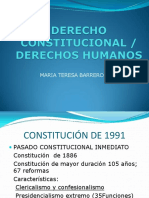 Derechos Humanos Constitución PDF
