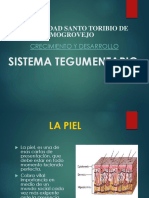 11sistemategumentario-130729200918-phpapp02.ppt