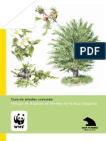 Guia del _arboles comunes.pdf