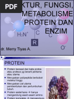 Download Struktur Fungsi Protein Dan Enzim by La Ode Rinaldi SN42067952 doc pdf