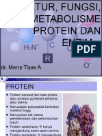 Struktur, Fungsi Protein Dan Enzim