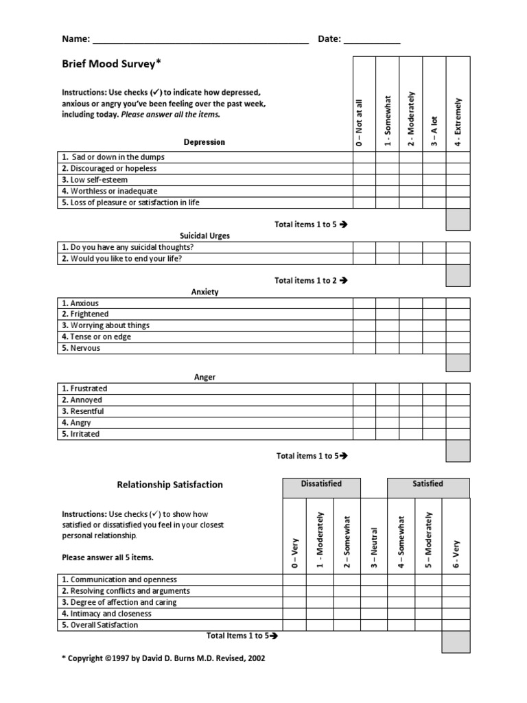 Brief Mood Survey : Name: - DateBrief Mood Survey : Name: - Date