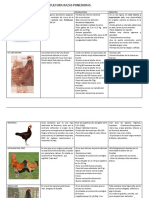 Razas Ponedoras PDF
