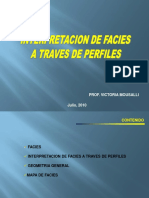 INTERPRETACION DE FACIES EN PERFILES.pdf