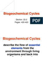 Biogeochemical Cycles