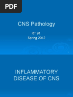 CNS Pathology: RT 91 Spring 2012