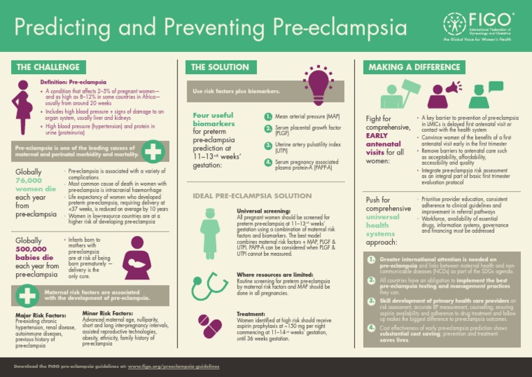 HAP Infographic Poster | PDF | Preterm Birth | Maternal Health