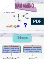 Asam Amino PDF