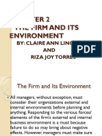 The Firm and Its Environment: By: Claire Ann Linogo AND Riza Joy Torres