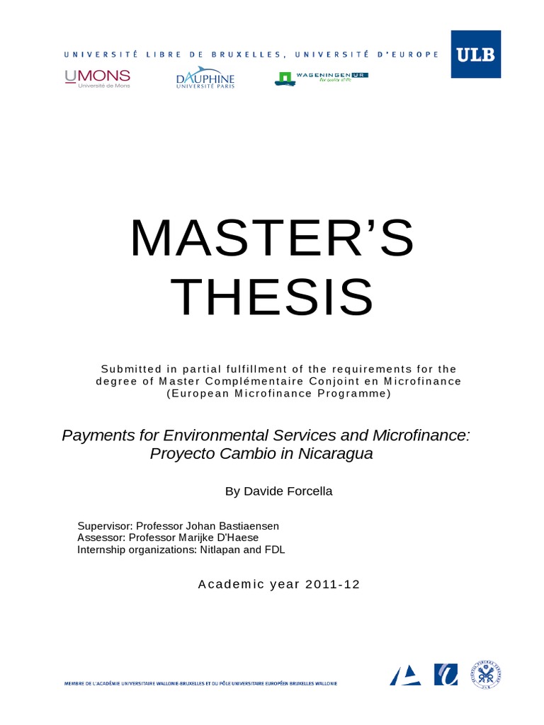 The Best Master Thesis PDF | PDF | Qualitative Research | Microfinance