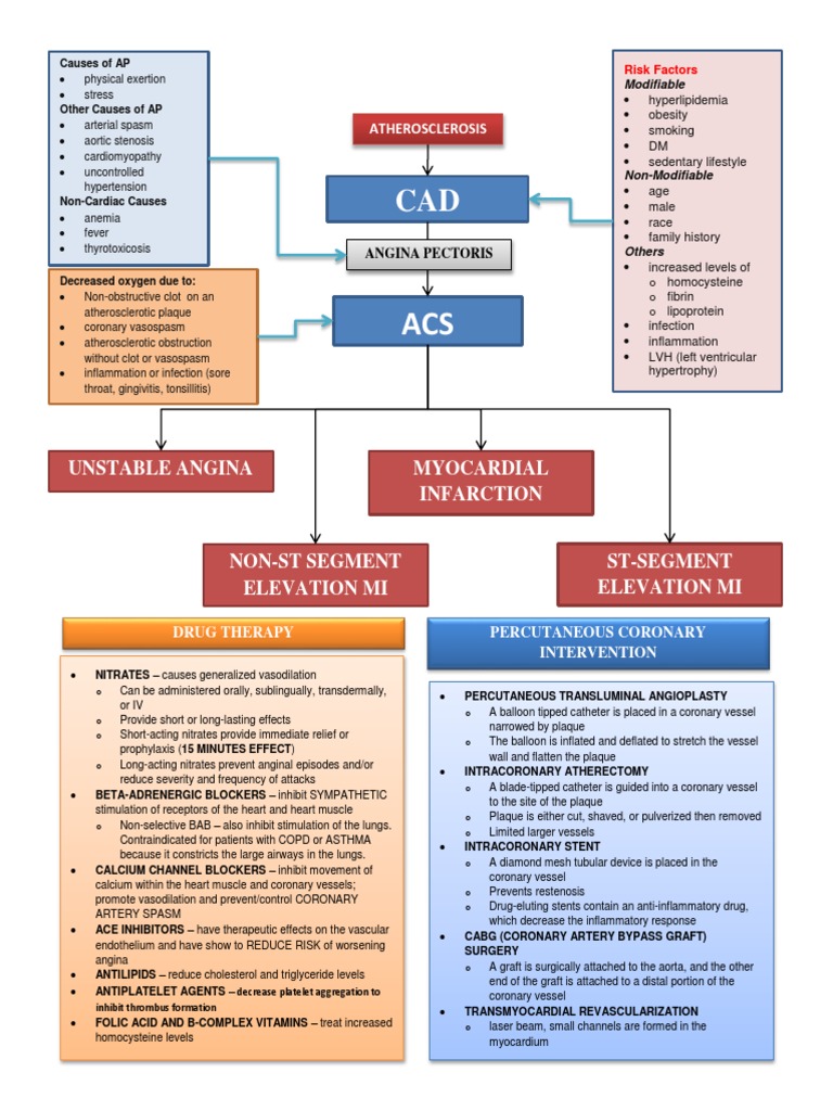 Pathophysiology of Coronary Artery Disease | PDF | Coronary Artery ...