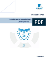 T17 Principios y Recomendaciones Básicas en Ciberseguridad Del CCN CERT