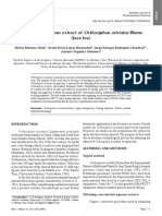 Spray Dried Aqueous Extract of Orthosiphon Aristatus Blume (Java Tea)