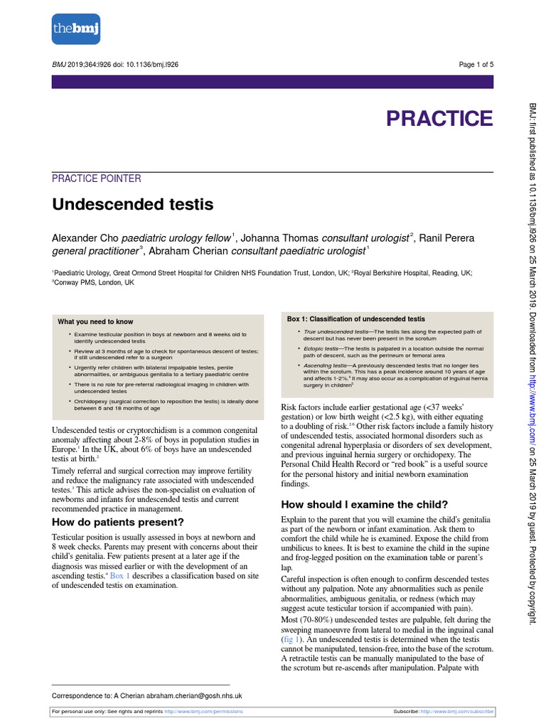 undescended testicle | Medical Specialties | Sexual Anatomy undescended testicle | Medical Specialties | Sexual Anatomy