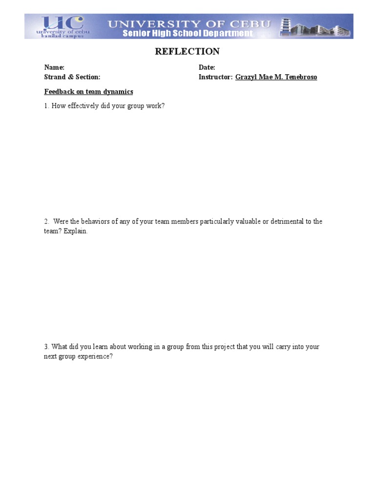 Team Dynamics Reflection Guide | PDF