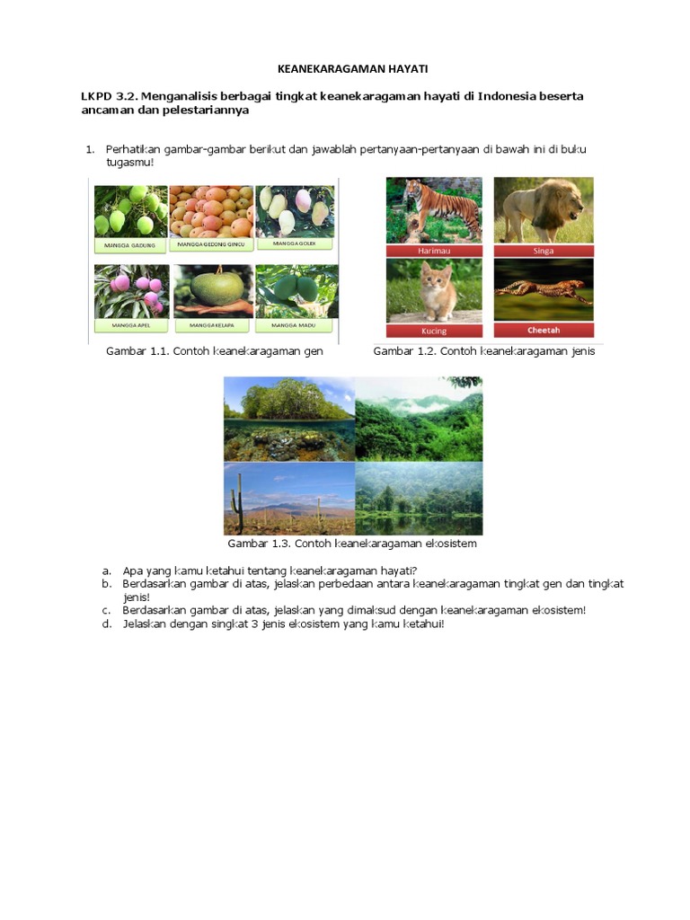 LKPD 3.2. Menganalisis berbagai tingkat keanekaragaman